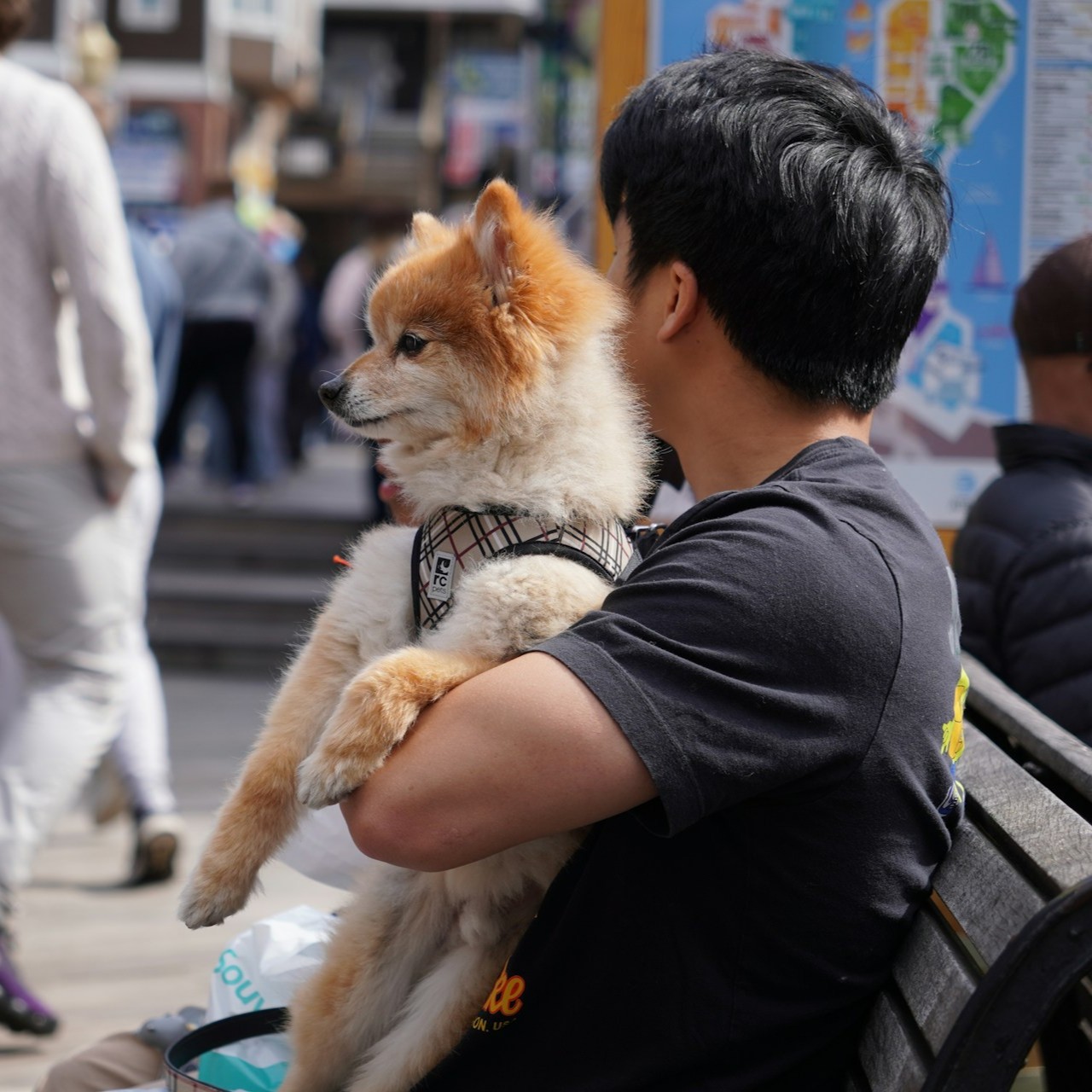 men-is-sitting-on-bench-with-his-dog